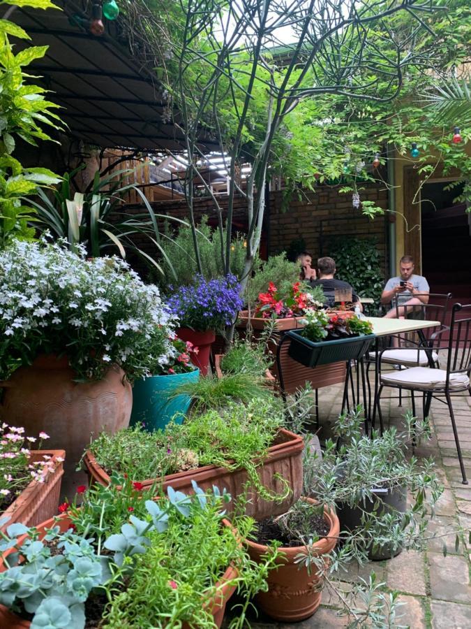 Bed And Breakfast "Caffe-Caffe" Kikinda Екстер'єр фото